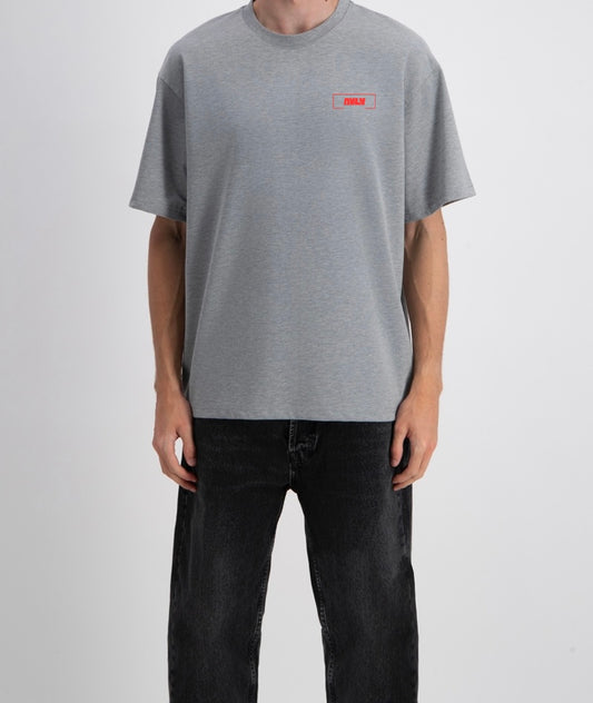 T-SHIRT AVLV™️ GREY